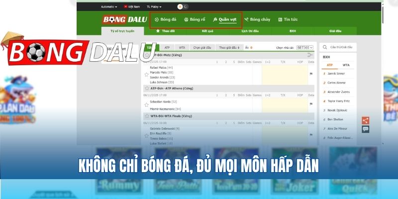 Không chỉ bóng đá, đủ mọi môn hấp dẫn