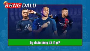 Hiệu rõ về dự đoán kèo bóng đá chính xác thế nào?