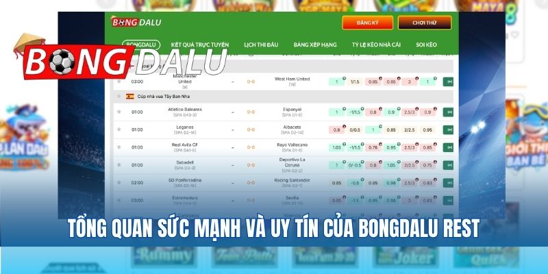 Tổng quan sức mạnh và uy tín của Bongdalu Rest