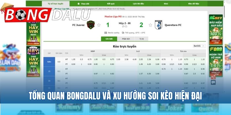 Tổng quan bongdalu và xu hướng soi kèo hiện đại
